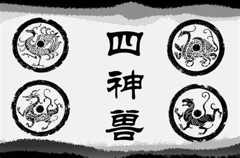 玄武朱雀|古代四大神兽的文化内涵与象征意义